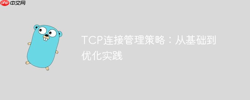 TCP连接管理策略：从基础到优化实践