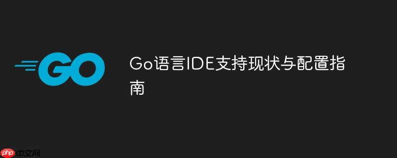 Go语言IDE支持现状与配置指南