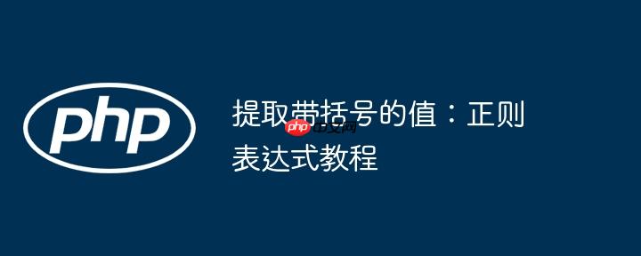 提取带括号的值：正则表达式教程