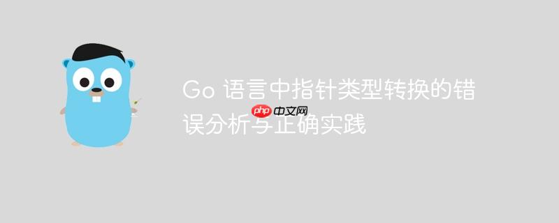 Go 语言中指针类型转换的错误分析与正确实践
