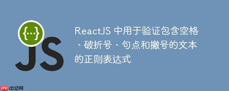 ReactJS 中用于验证包含空格、破折号、句点和撇号的文本的正则表达式