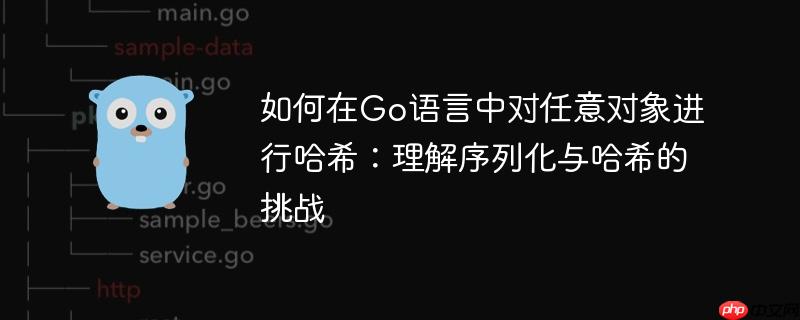 如何在Go语言中对任意对象进行哈希：理解序列化与哈希的挑战