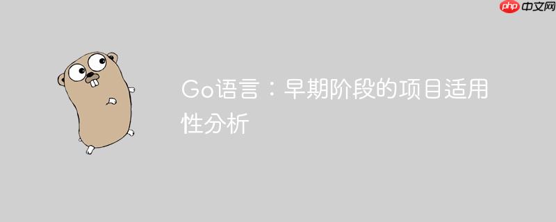 Go语言：早期阶段的项目适用性分析