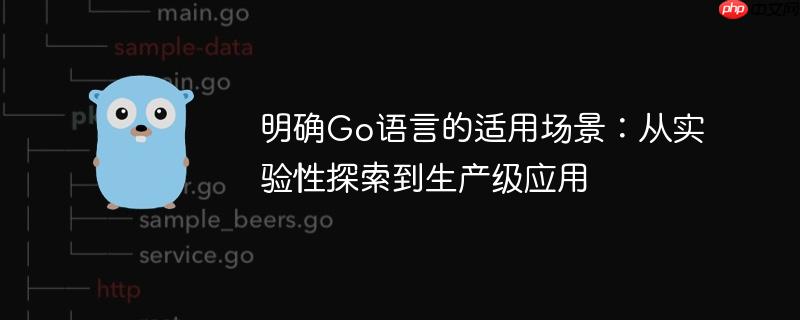 明确Go语言的适用场景：从实验性探索到生产级应用