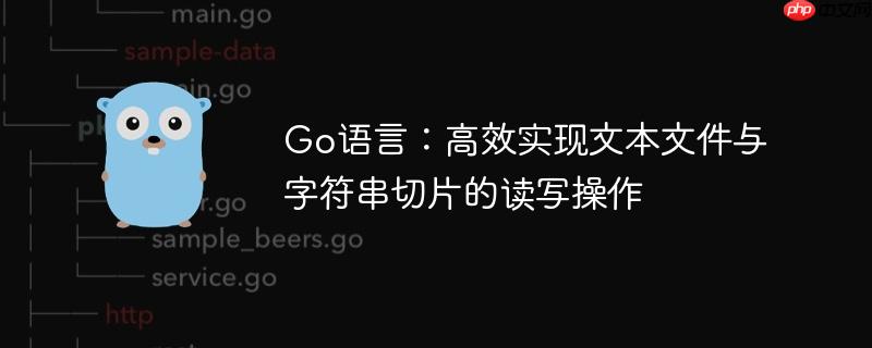 Go语言：高效实现文本文件与字符串切片的读写操作