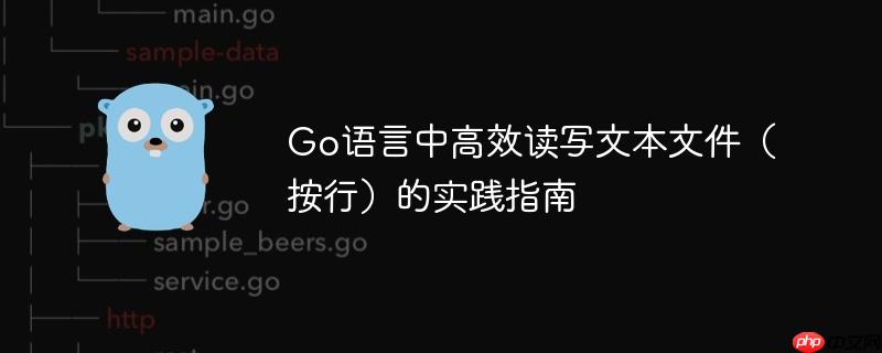 Go语言中高效读写文本文件（按行）的实践指南