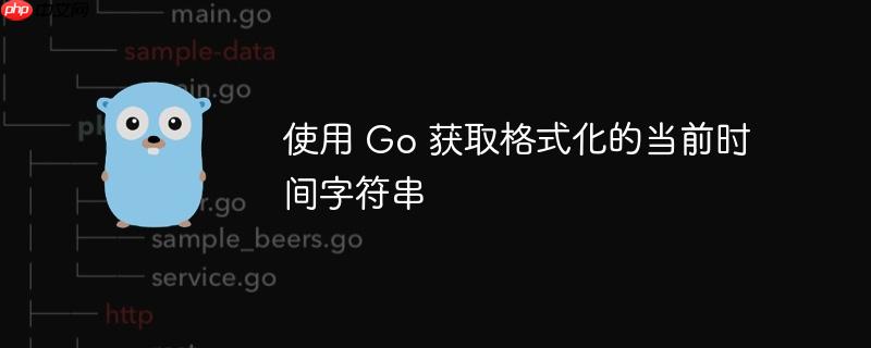 使用 Go 获取格式化的当前时间字符串