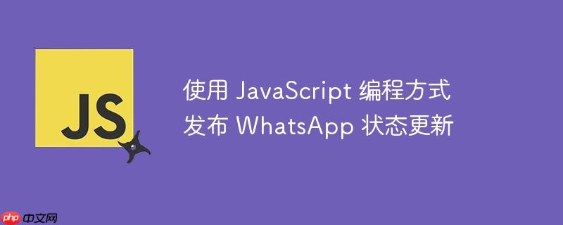 使用 JavaScript 编程方式发布 WhatsApp 状态更新