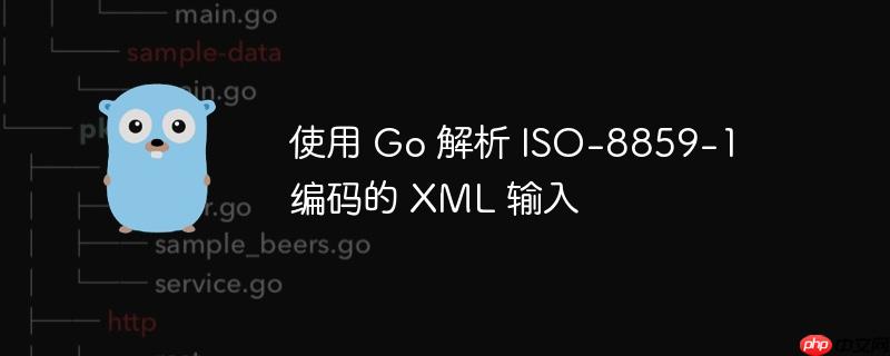 使用 Go 解析 ISO-8859-1 编码的 XML 输入
