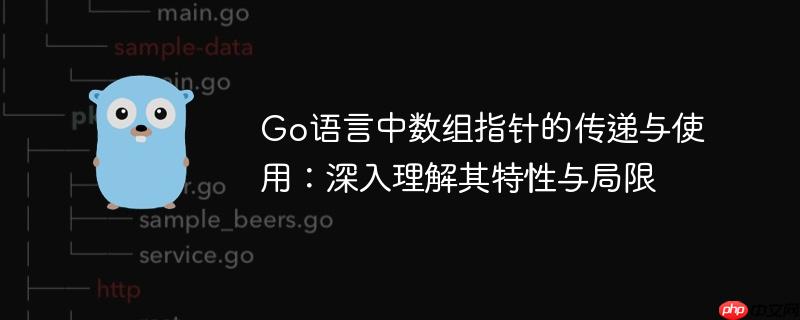 Go语言中数组指针的传递与使用：深入理解其特性与局限