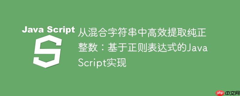 从混合字符串中高效提取纯正整数：基于正则表达式的JavaScript实现