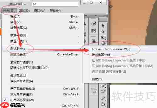 Flash CS3作品分布技巧