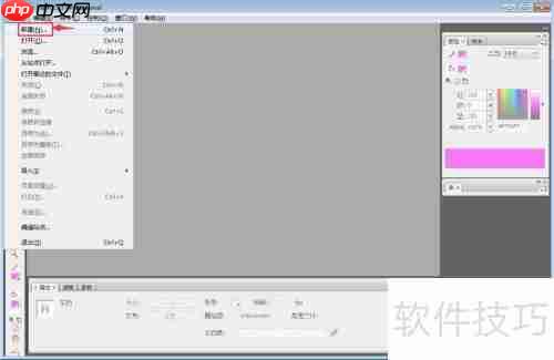 Flash CS3中文输入方法
