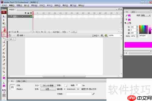 Flash CS3中文输入方法