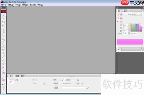 Flash CS3中文输入方法