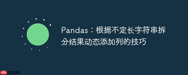 Pandas：根据不定长字符串拆分结果动态添加列的技巧
