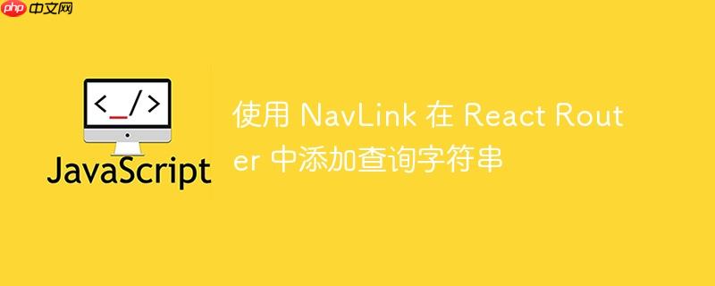 使用 NavLink 在 React Router 中添加查询字符串