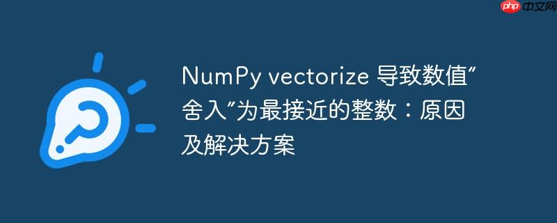 numpy vectorize 导致数值“舍入”为最接近的整数：原因及解决方案