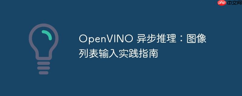 openvino 异步推理：图像列表输入实践指南