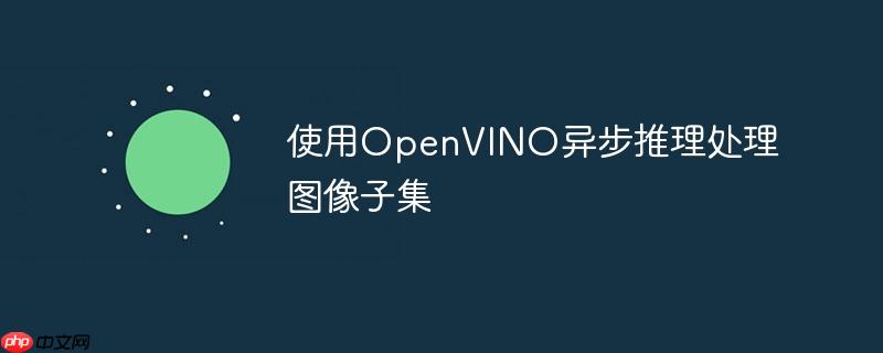 使用openvino异步推理处理图像子集