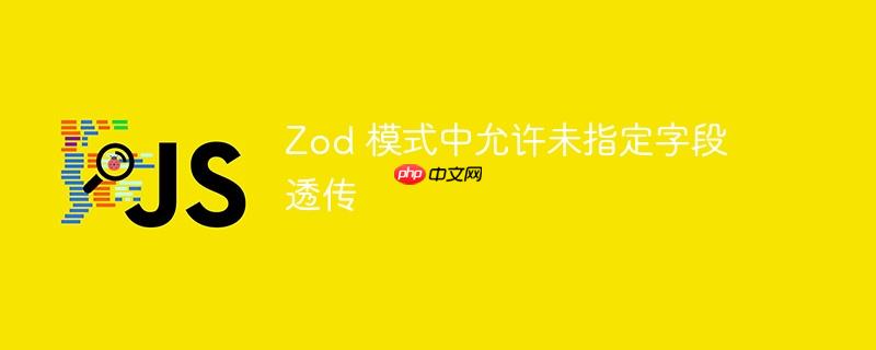 Zod 模式中允许未指定字段透传