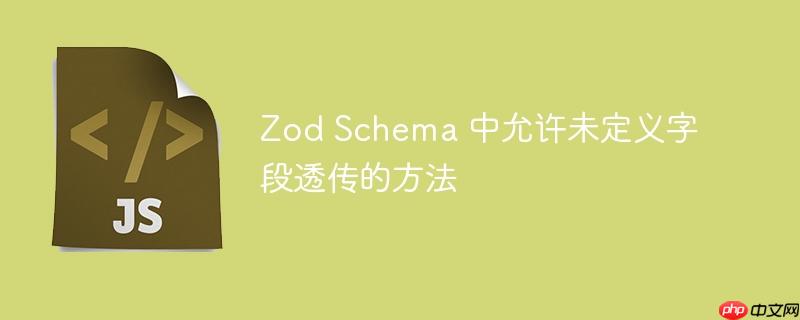 zod schema 中允许未定义字段透传的方法