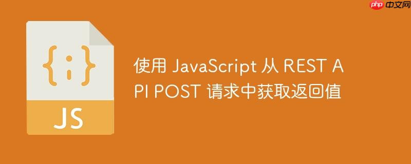 使用 javascript 从 rest api post 请求中获取返回值