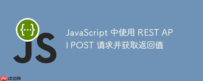 JavaScript 中使用 REST API POST 请求并获取返回值