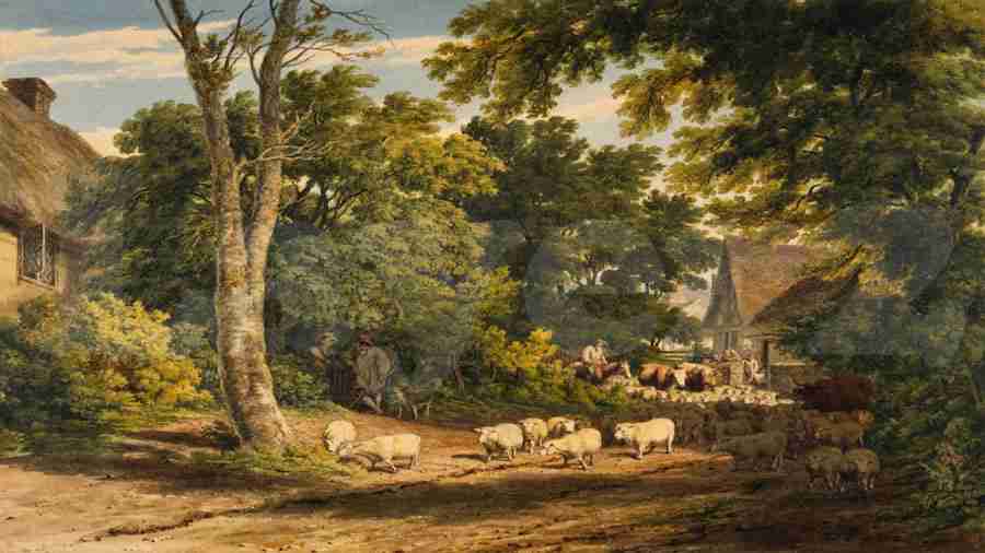 layer2 混战再起：linea 代币上线，是机会还是鸡肋？