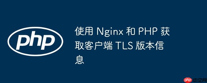 使用 nginx 和 php 获取客户端 tls 版本信息