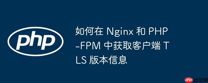 如何在 nginx 和 php-fpm 中获取客户端 tls 版本信息