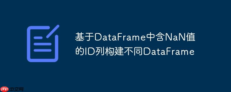 基于DataFrame中含NaN值的ID列构建不同DataFrame