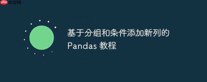 基于分组和条件添加新列的 pandas 教程