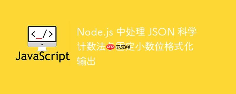 Node.js 中处理 JSON 科学计数法与固定小数位格式化输出