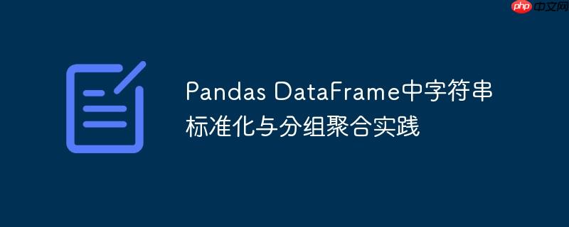 Pandas DataFrame中字符串标准化与分组聚合实践