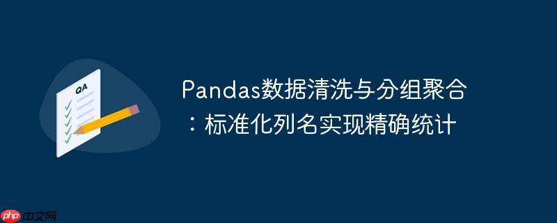 pandas数据清洗与分组聚合：标准化列名实现精确统计