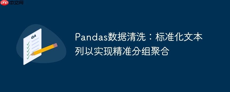 Pandas数据清洗：标准化文本列以实现精准分组聚合