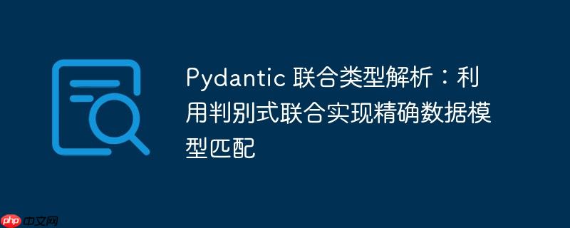 Pydantic 联合类型解析：利用判别式联合实现精确数据模型匹配