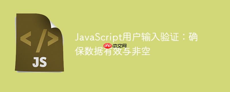 JavaScript用户输入验证：确保数据有效与非空