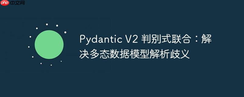 pydantic v2 判别式联合：解决多态数据模型解析歧义