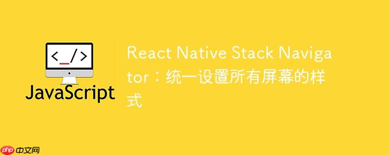 React Native Stack Navigator：统一设置所有屏幕的样式
