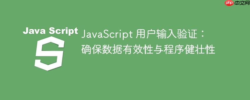 JavaScript 用户输入验证：确保数据有效性与程序健壮性
