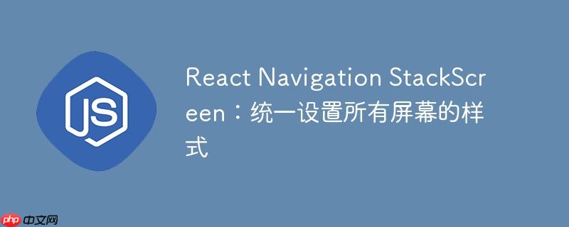 React Navigation StackScreen：统一设置所有屏幕的样式