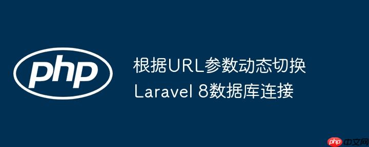 根据url参数动态切换laravel 8数据库连接