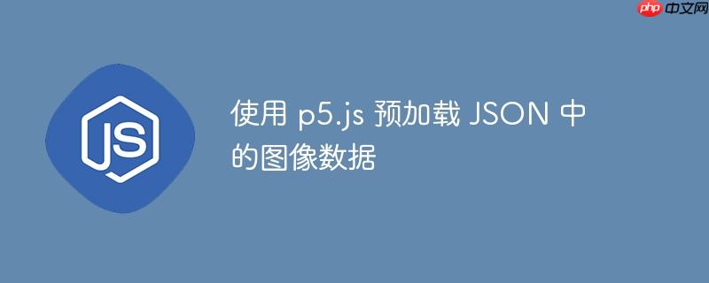 使用 p5.js 预加载 JSON 中的图像数据