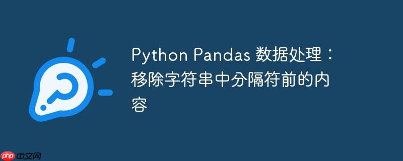 Python Pandas 数据处理：移除字符串中分隔符前的内容