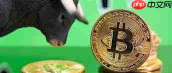 比特币下一次牛市何时到来