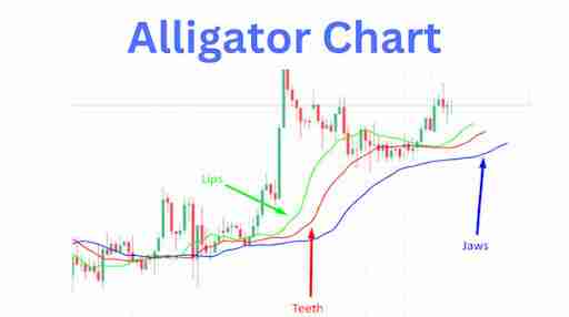 比尔·威廉姆斯是谁，为什么他的指标很重要？比尔·威廉姆斯的关键交易指标有哪些？