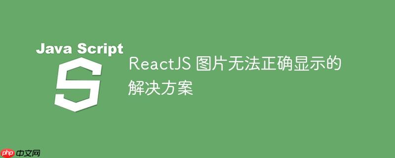 ReactJS 图片无法正确显示的解决方案