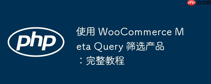使用 WooCommerce Meta Query 筛选产品：完整教程